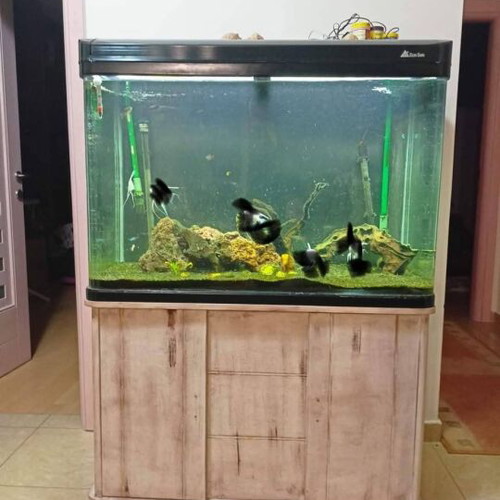 Aquarium 300 liters like new with LED lighting and Eheim thermostats