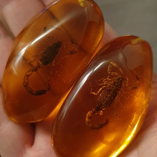 Decorative items with scorpion in resin, new, set of 2 pieces