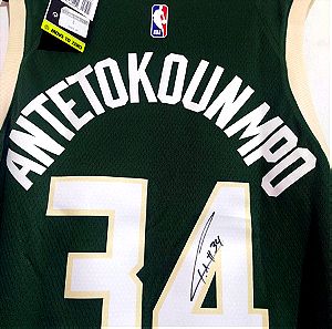 Signed XL Giannis Antetokounmpo Milwaukee bucks Nike nba basketball basket