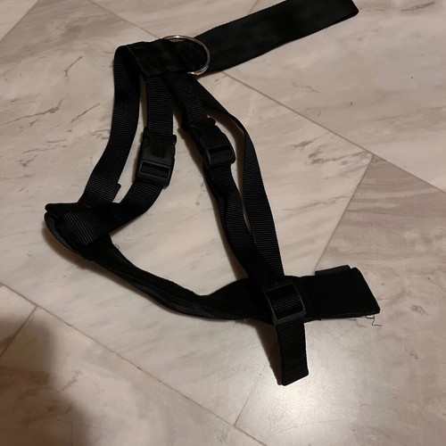 Dog Car Safety Harness XL with Free Metal Seatbelt Clip, new