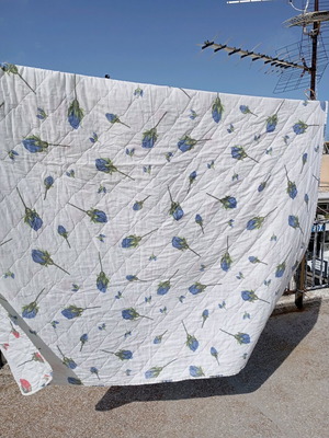 Spring double quilt used, reversible