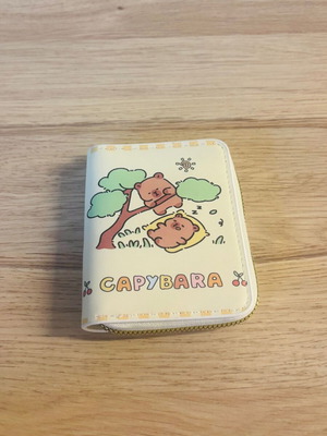Capybara children's wallet like new with zipper
