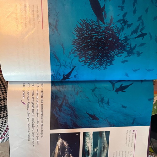 National Geographic book Wild Animals Dolphins like new