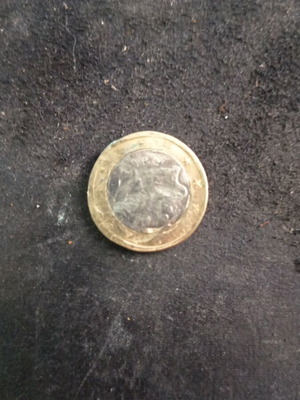 Irish 1 Euro Coin used with unique patina and character