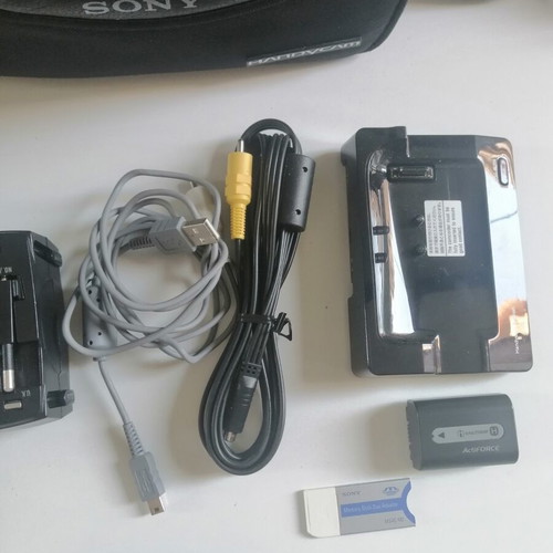 Sony Handycam DCR-SR42E video camera set