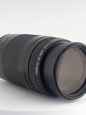 Canon EF 75-300mm f/4-5.6 II Telephoto Zoom Lens used