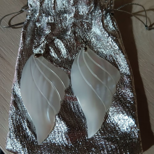 Earrings pair new with case silver
