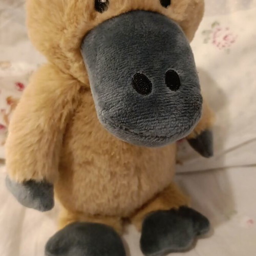 Plush toys platypus set of 2 new