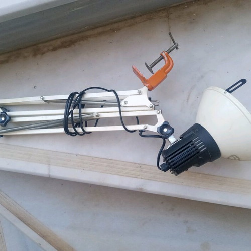 Office lamp with articulated spring and spiral clock
