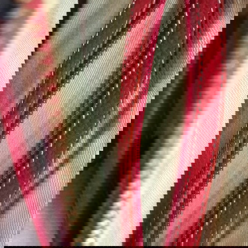 Burberry mini bag σαν καινούργιο, πολύχρωμο καρό