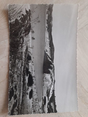 Card postal 1967 used