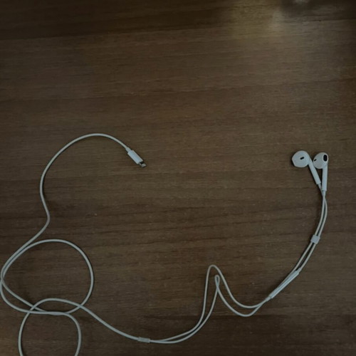Apple earbuds