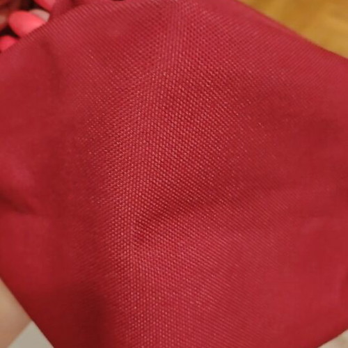 Levi's backpack