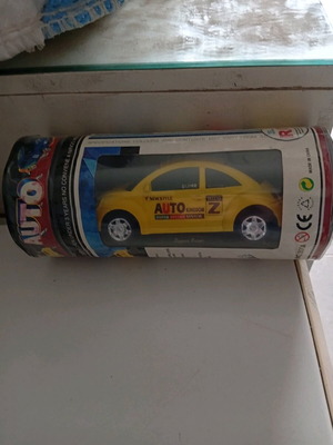 Remote Control Beetle Car new