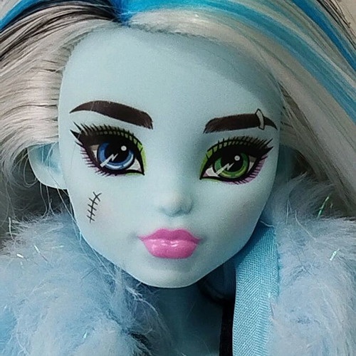Monster High Frankie G4 incomplete doll like new