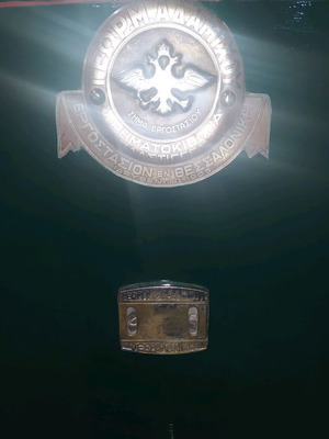 Adamichou safe used