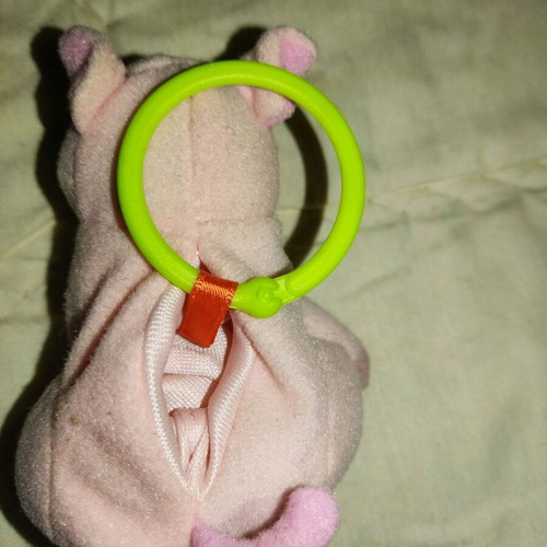 Small plush used with pouch and ring