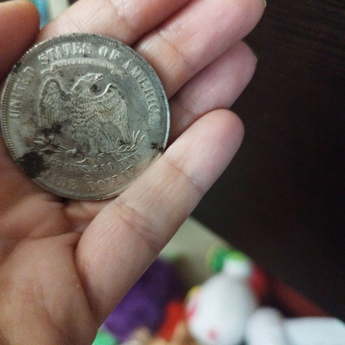 USA trade dollar 1876 used, not silver
