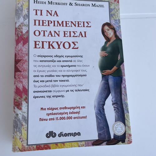 What to Expect When You're Expecting pregnancy book