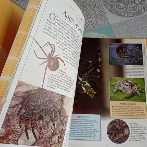 Great Children's Encyclopedia Animal Kingdom 1 used
