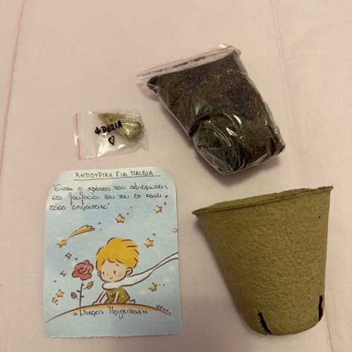 Gardening kit for kids new, pack with pot and freesia seed