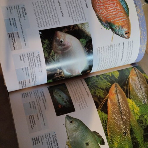 Aquarium book like new, tropical and marine guide