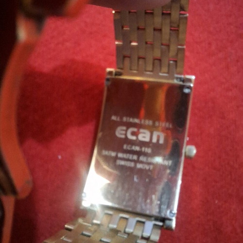 Ecan Quartz Iced Out Women's Watch Gold New