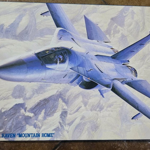 Hasegawa EF-111A Raven "Mountain Home" modeling kit new