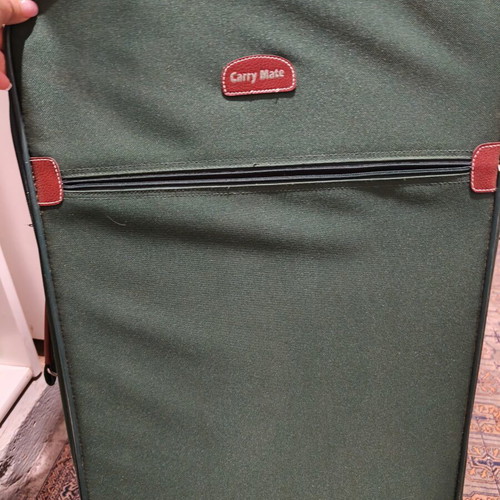 Large suitcase, green