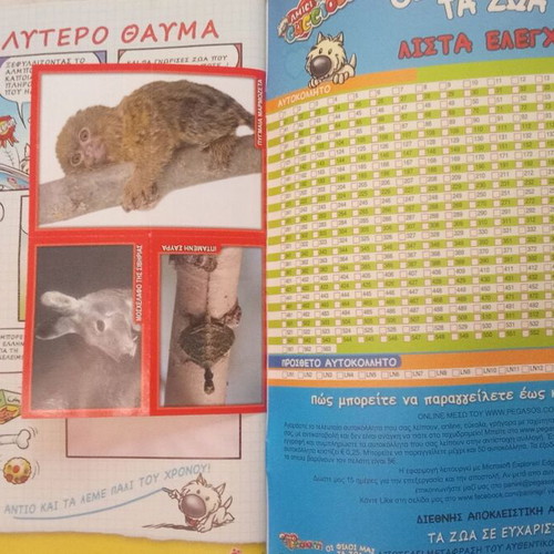 Panini Album Our Friends the Animals 2018 like new
