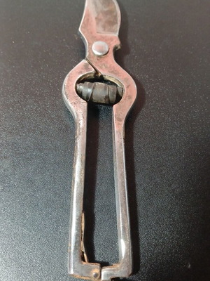 Old pruning shears used