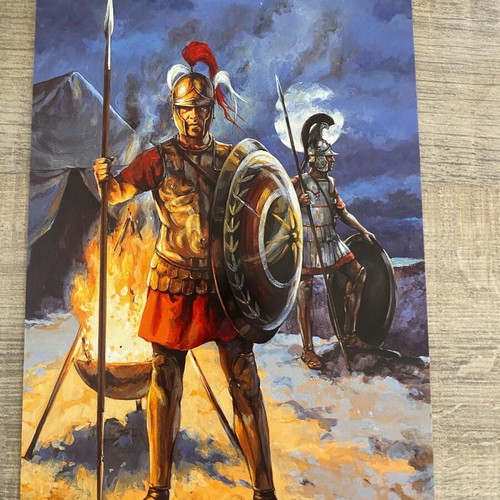 Osprey card postal set of 40 like new