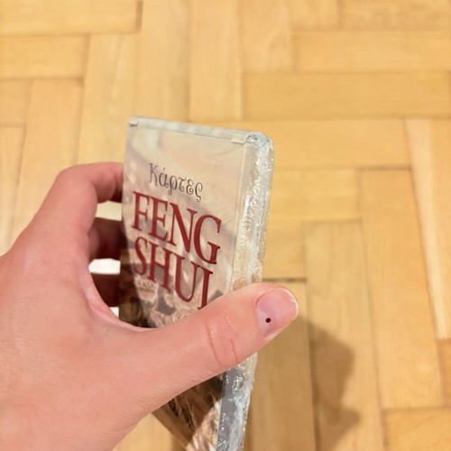 Feng Shui Astrology Cards new, sealed set