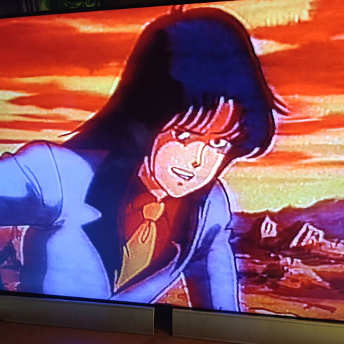 Robotech The Macross Saga VHS part 13 dubbed, like new