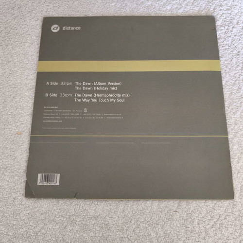 Mikael Delta Limited Edition Vinyl like new, electronic