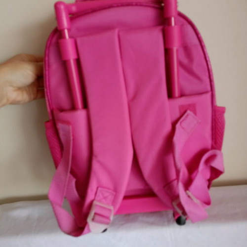 Frozen toddler trolley bag used