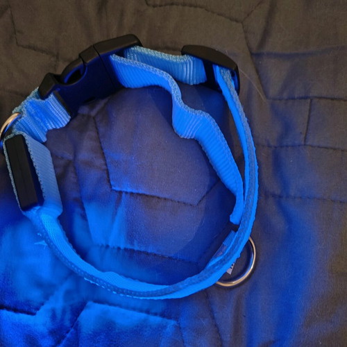Blue glowing rechargeable dog collar like new