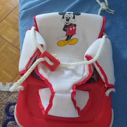 Room and Outdoor Swing new, with clamps