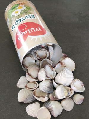 Seashells used, washed, various sizes, unbroken