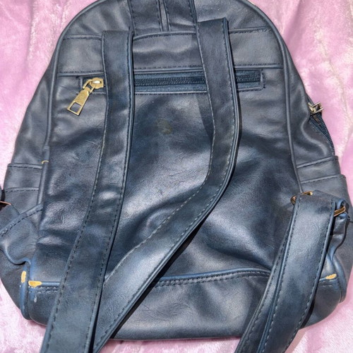 Blue backpack used with minor marks