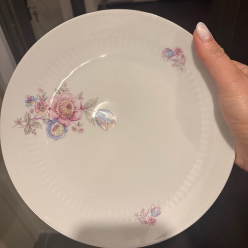 Scherzer Bavaria Germany full dinnerware set like new