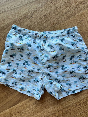 Zara boys' swimwear used, size 13 years, multicolored
