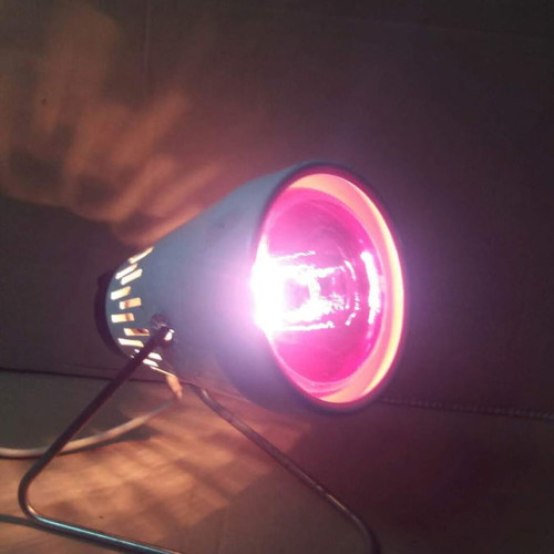 Heating lamp used