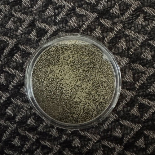Moon coin new in case