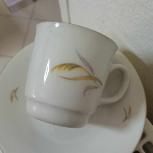 Coffee cups new set of 6 with leaf design