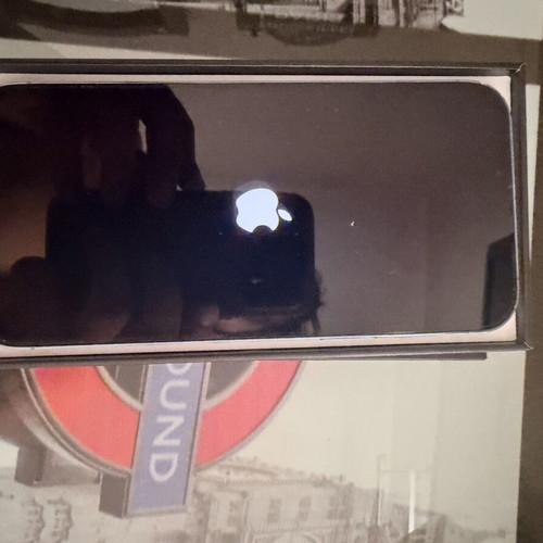 iPhone 13 Pro Max 128GB with cracked back glass