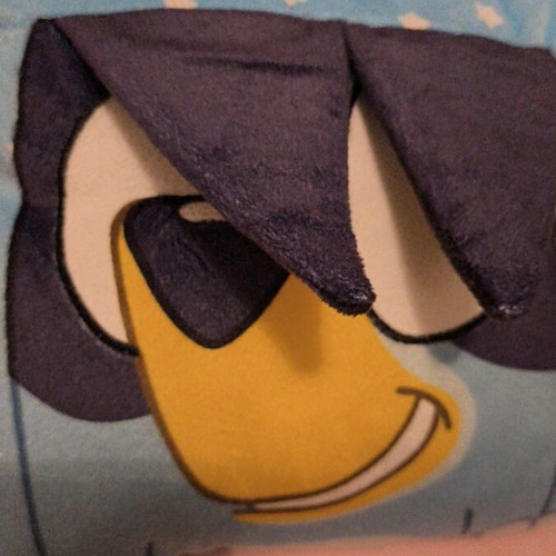 Bluey pillow like new