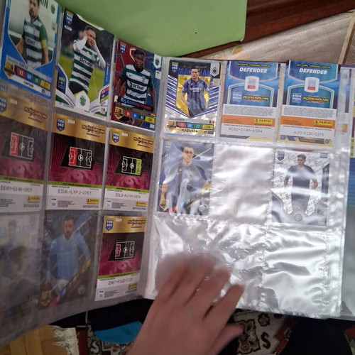 Album 2024 used with 129 cards