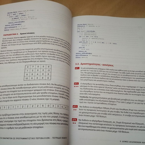 Application Development in Programming Environment Student Workbook Grade 12 like new