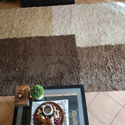 Biocarpet rug 3x2 like new in brown-beige-ecru shades